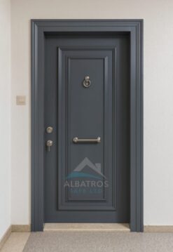 Çelik Kapı Modeli ALB-0051