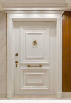 Çelik Kapı Modeli ALB-0060