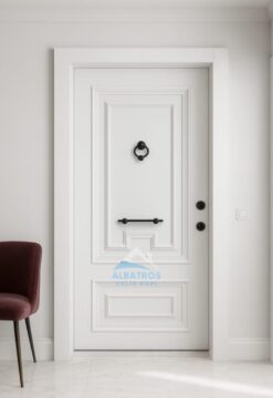Çelik Kapı Modeli ALB-0063